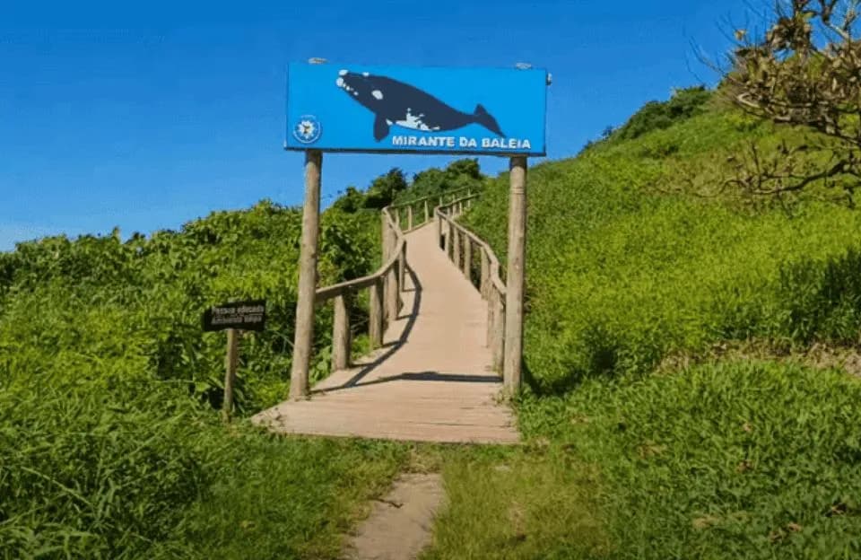Blue Mirante da Baleia (whale lookout) sign over the entrance to a wooden boardwalk climbing a green hill, under a blue sky